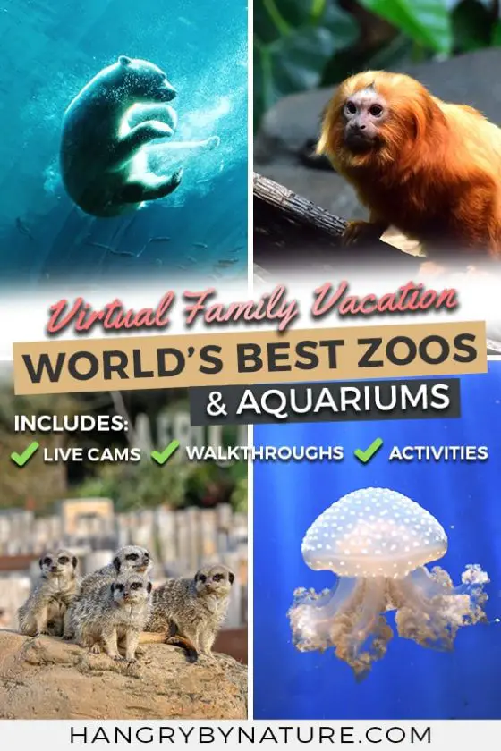 virtual aquarium tours free